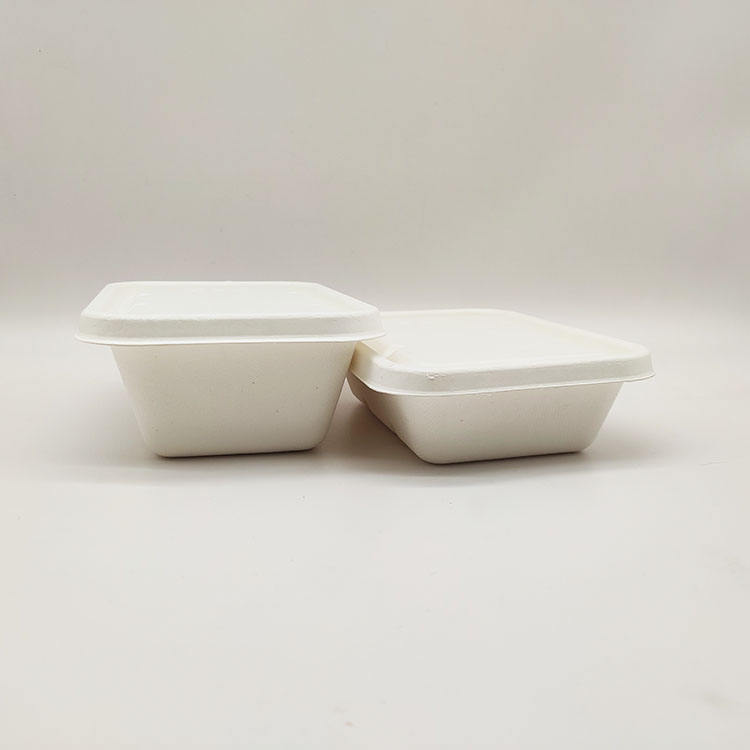 Boîte à déjeuner de vente directe d'usine, conteneurs alimentaires en papier jetables, pulpe de canne à sucre à clapet