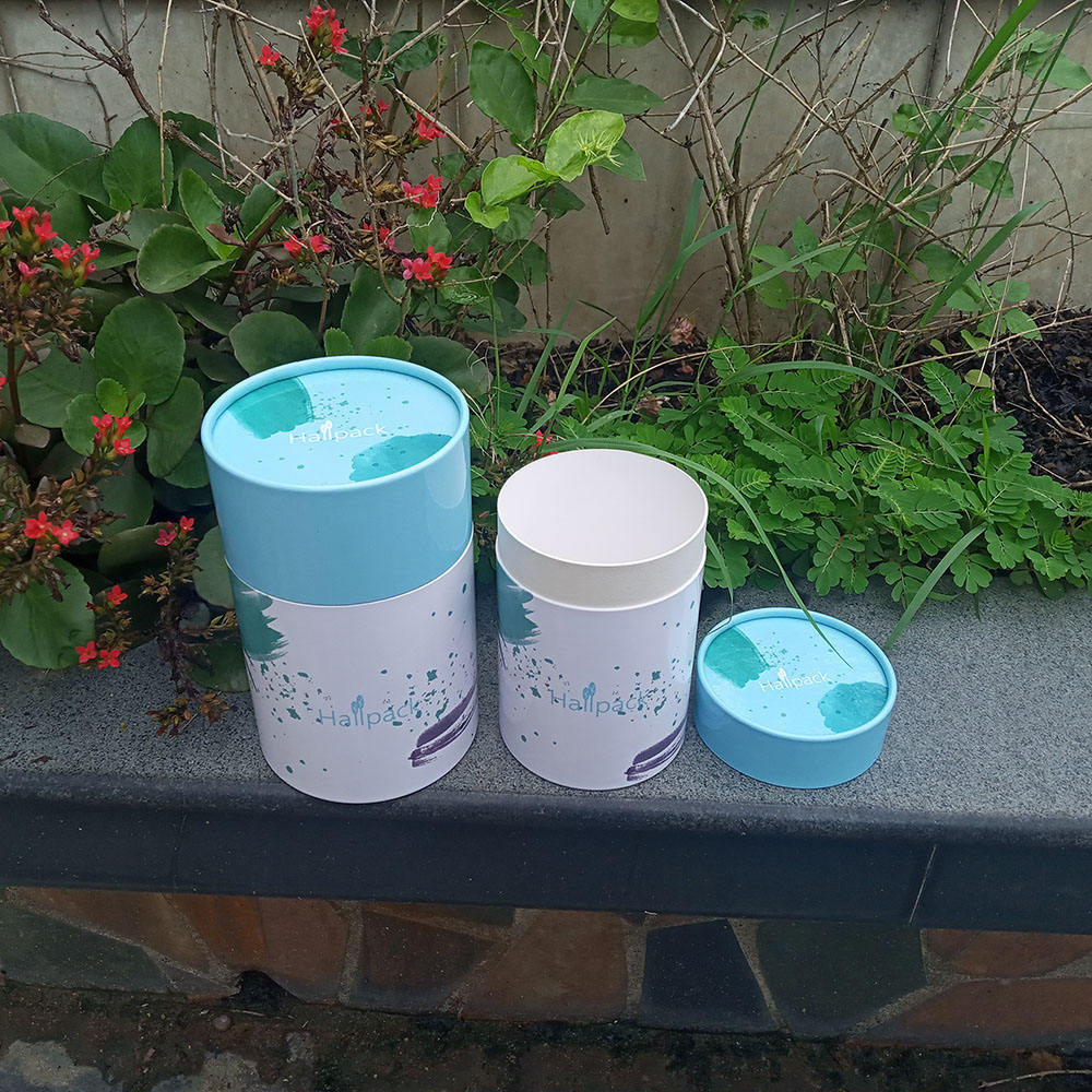 Tubes en papier kraft empaquetant des boîtes en papier push-up de style carton pour le stockage et la présentation du thé