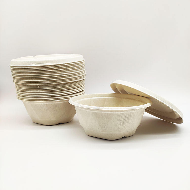 Conteneurs alimentaires jetables sûrs à clapet de canne à sucre d'approvisionnement d'usine