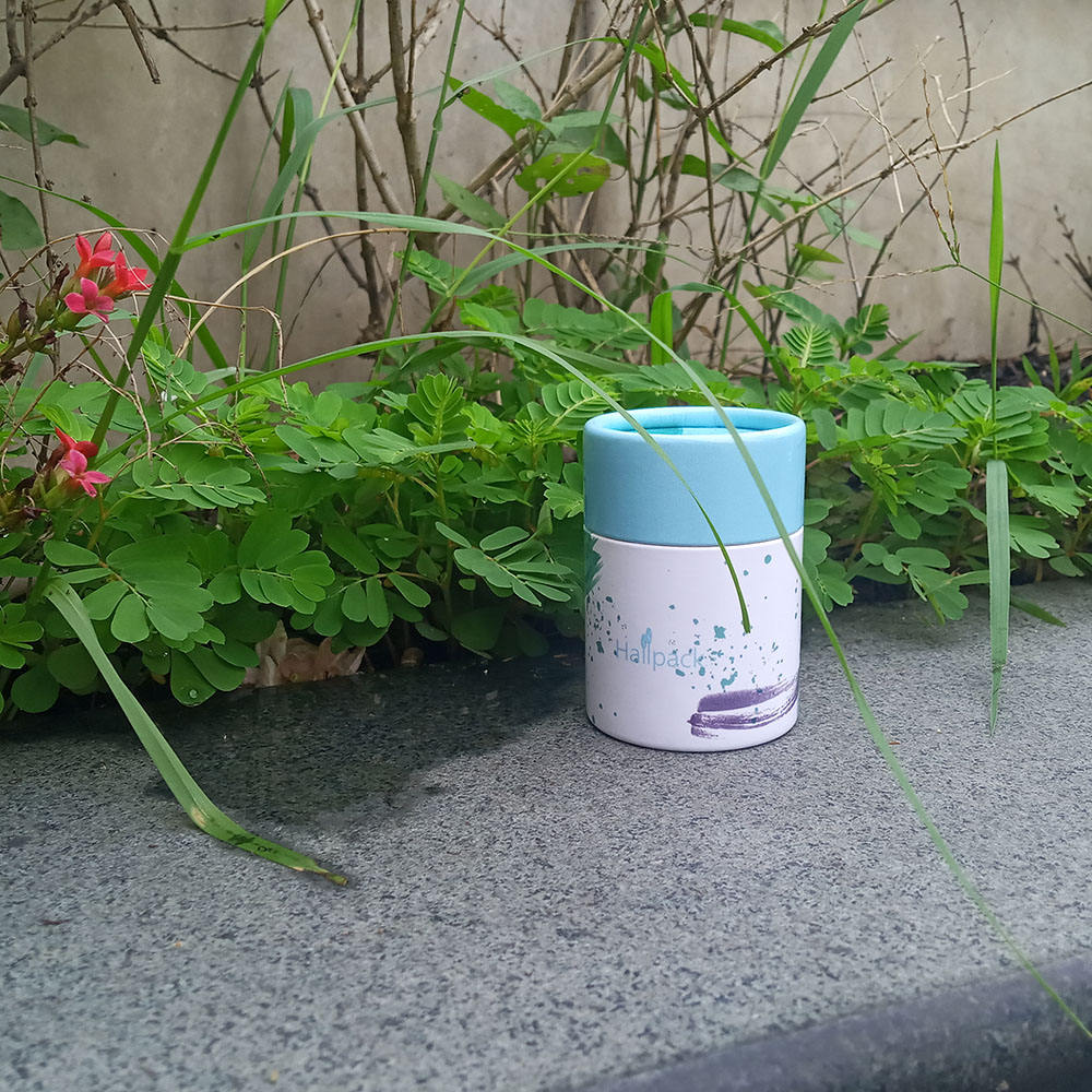 Tubes en papier kraft empaquetant des boîtes en papier push-up de style carton pour le stockage et la présentation du thé