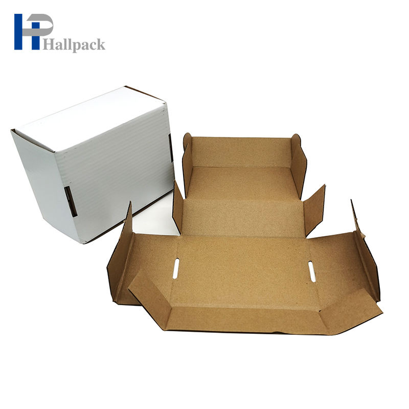 Boîte-cadeau pliable de luxe biodégradable fait sur commande pour la boîte d'avion de boîte postale