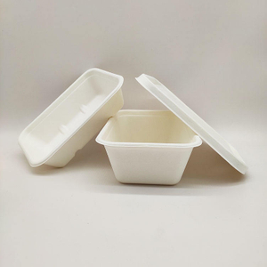 Boîte à déjeuner de vente directe d'usine, conteneurs alimentaires en papier jetables, pulpe de canne à sucre à clapet