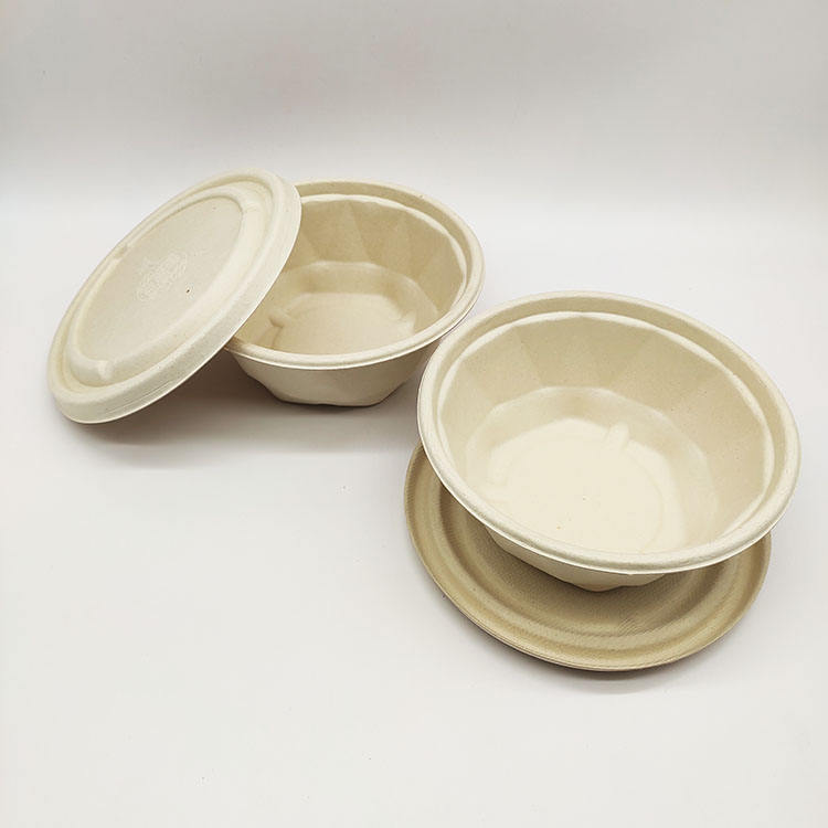 Conteneurs alimentaires jetables sûrs à clapet de canne à sucre d'approvisionnement d'usine