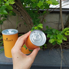 Tube de papier recyclable de cylindre en carton hermétique avec couvercle facile à décoller pour tube d'emballage alimentaire personnalisé de collagène en poudre de protéines
