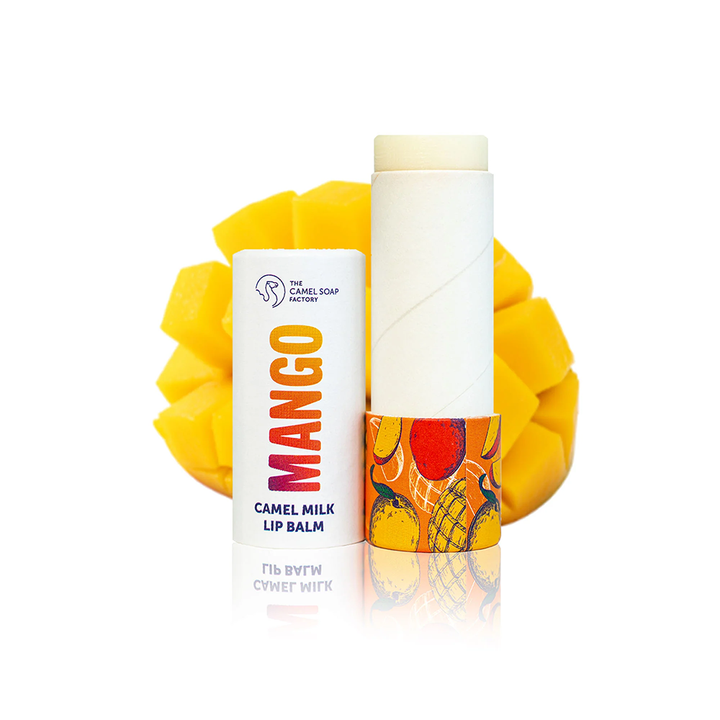 Cylindre de papier écologique fait à la main, emballage biodégradable, Tube en papier Push Up pour baume à lèvres, déodorant et cosmétique