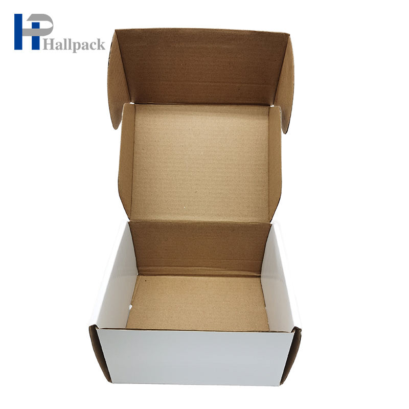 Boîte-cadeau pliable de luxe biodégradable fait sur commande pour la boîte d'avion de boîte postale