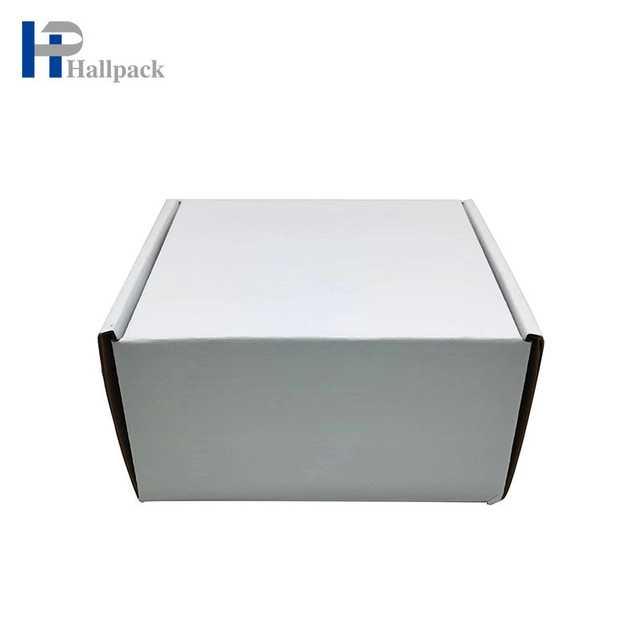 Boîte-cadeau pliable de luxe biodégradable fait sur commande pour la boîte d'avion de boîte postale