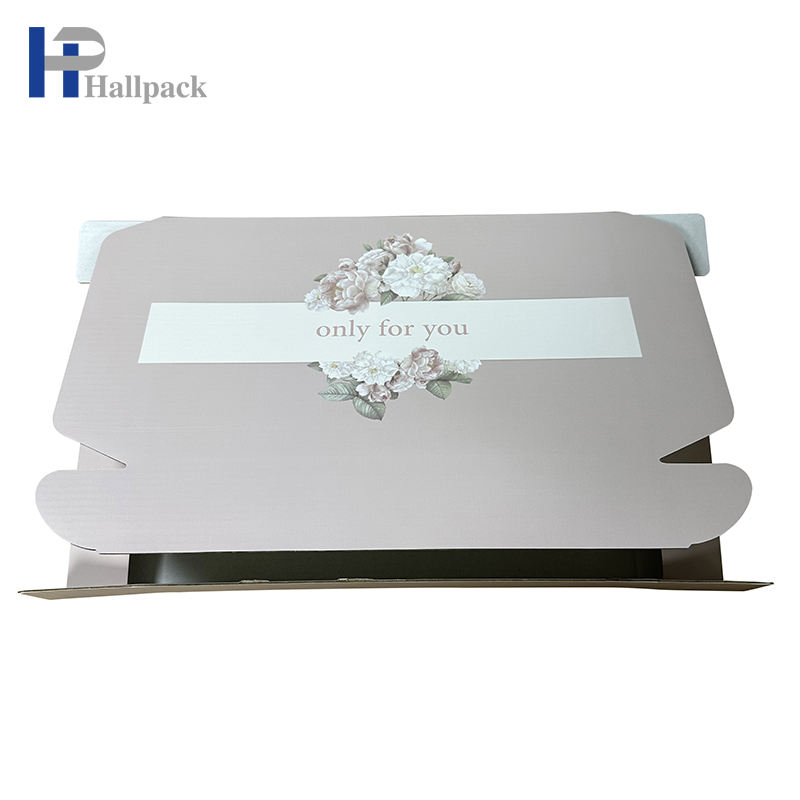 Boîte de papier professionnelle de forme d'avion de nouvelle conception pour l'emballage de boîte à bijoux