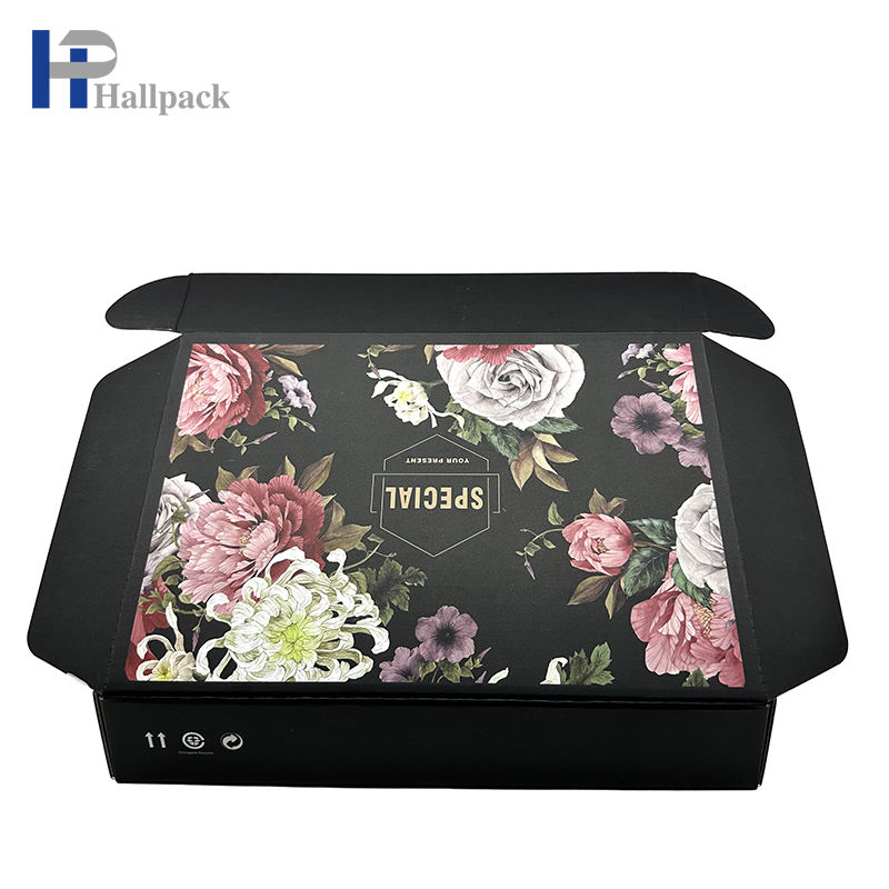 Boîtes en papier d'emballage de vêtements de boîte en carton ondulé d'avion en gros