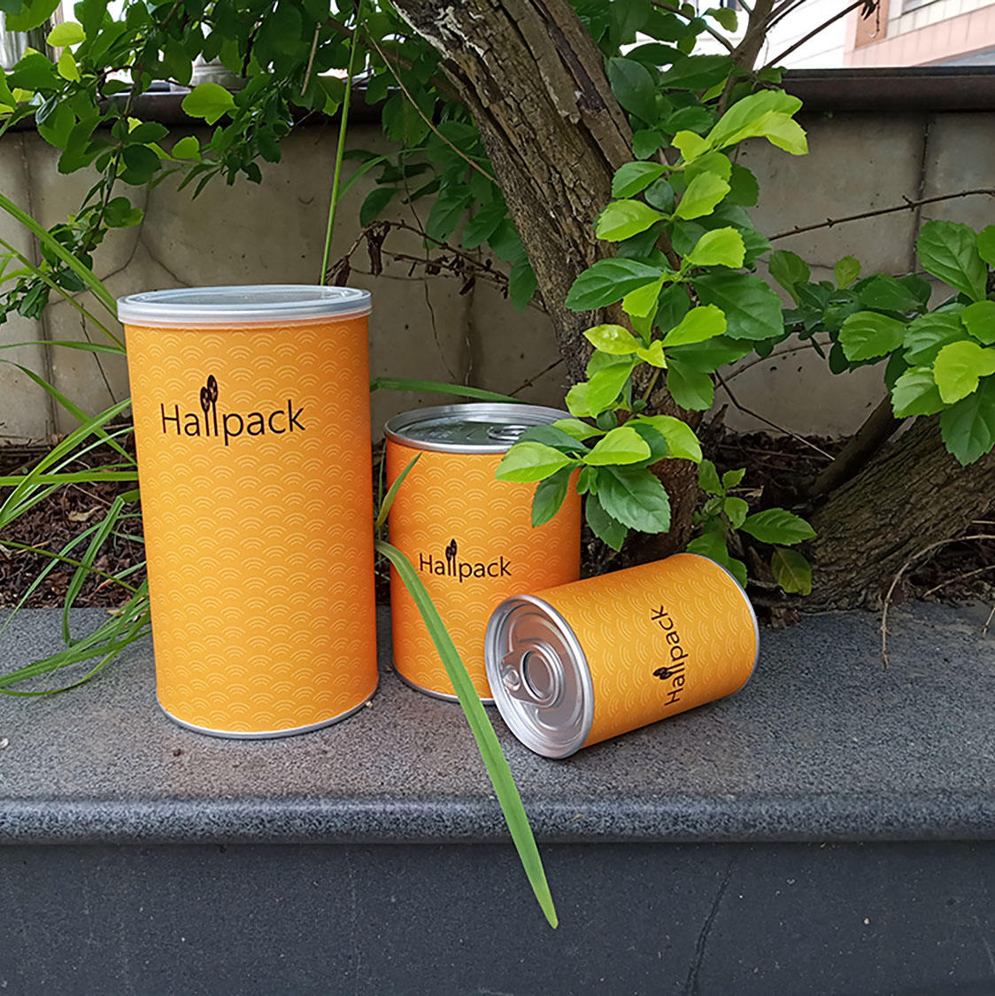 Boîte de tube de papier d'emballage de cylindre de carton d'impression de logo fait sur commande recyclé en gros avec la bougie longue de café de thé de fer de couvercle