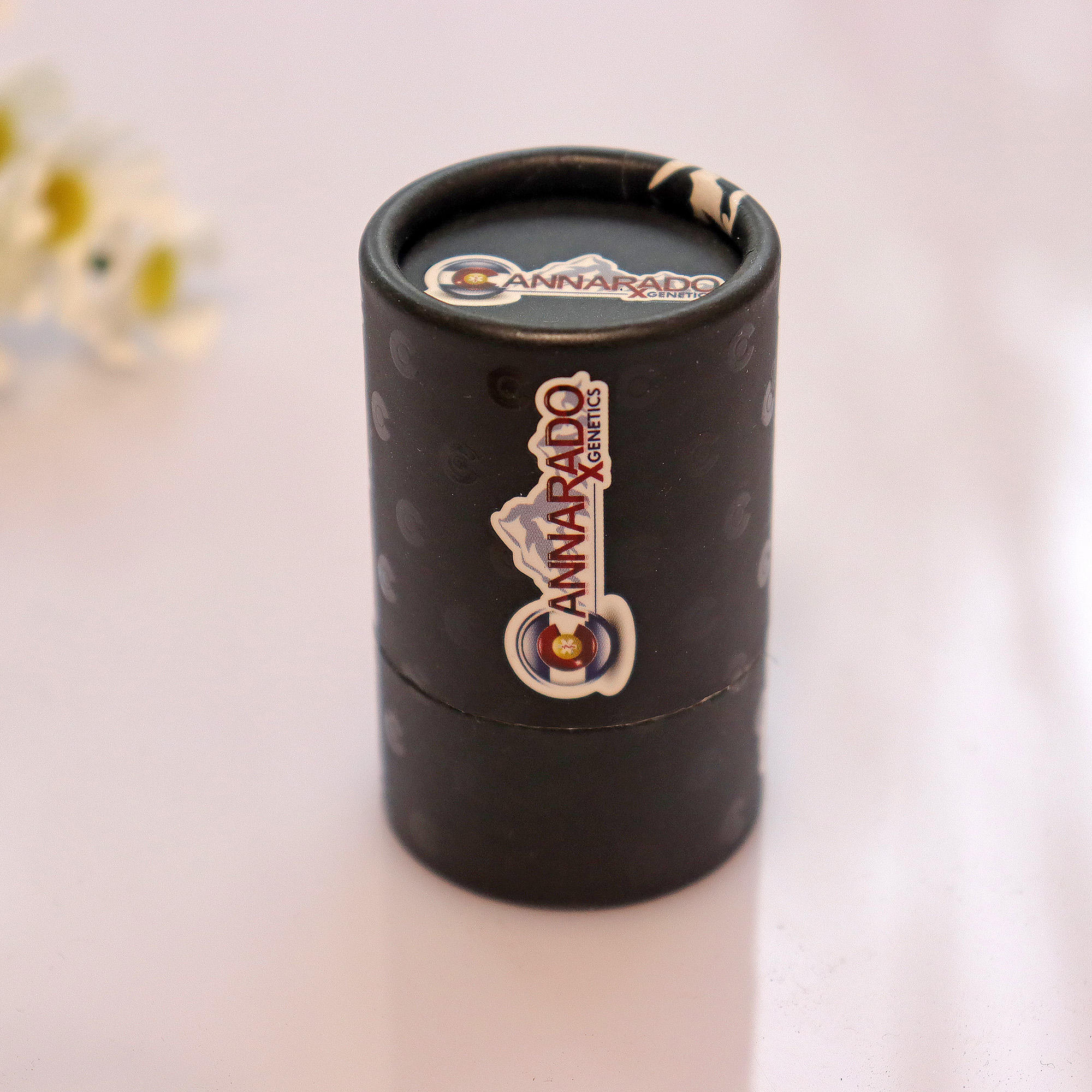Conteneurs de base de cylindre en papier personnalisés avec bouteille d'huile EVA, utilisation avec emballage en tube de papier mousse