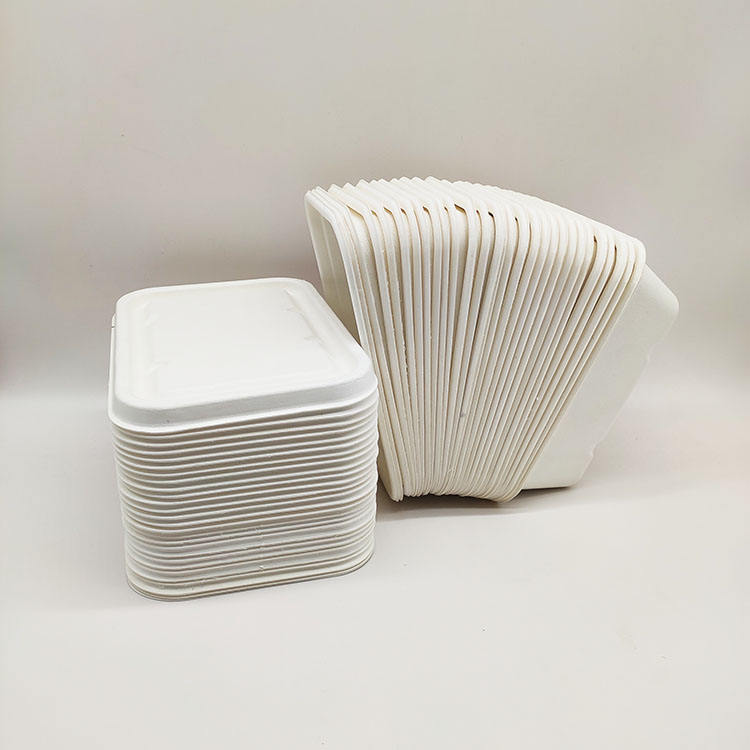 Boîte à déjeuner de vente directe d'usine, conteneurs alimentaires en papier jetables, pulpe de canne à sucre à clapet