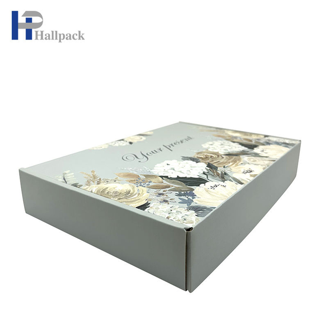 Le logo adapté aux besoins du client de boîte d'emballage réutilisent la boîte de papier d'emballage d'avion