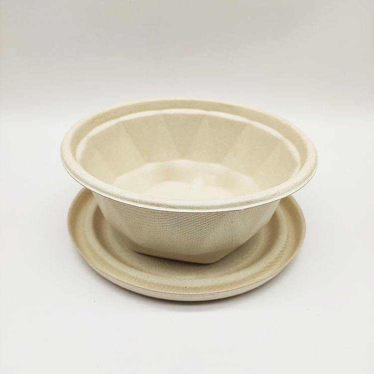 Conteneurs alimentaires jetables sûrs à clapet de canne à sucre d'approvisionnement d'usine