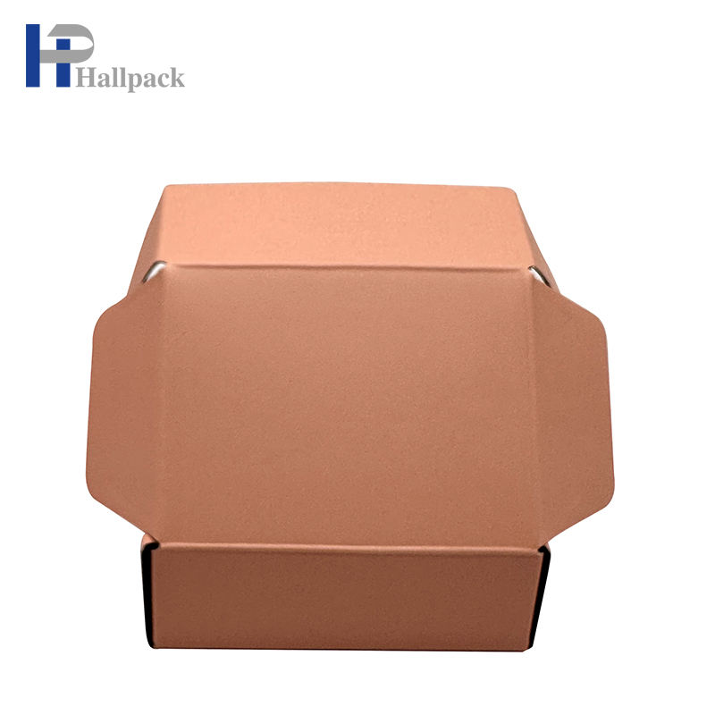 Boîte ondulée d'avion d'expédition de cadeau d'avion de papier d'emballage de carton coloré écologique