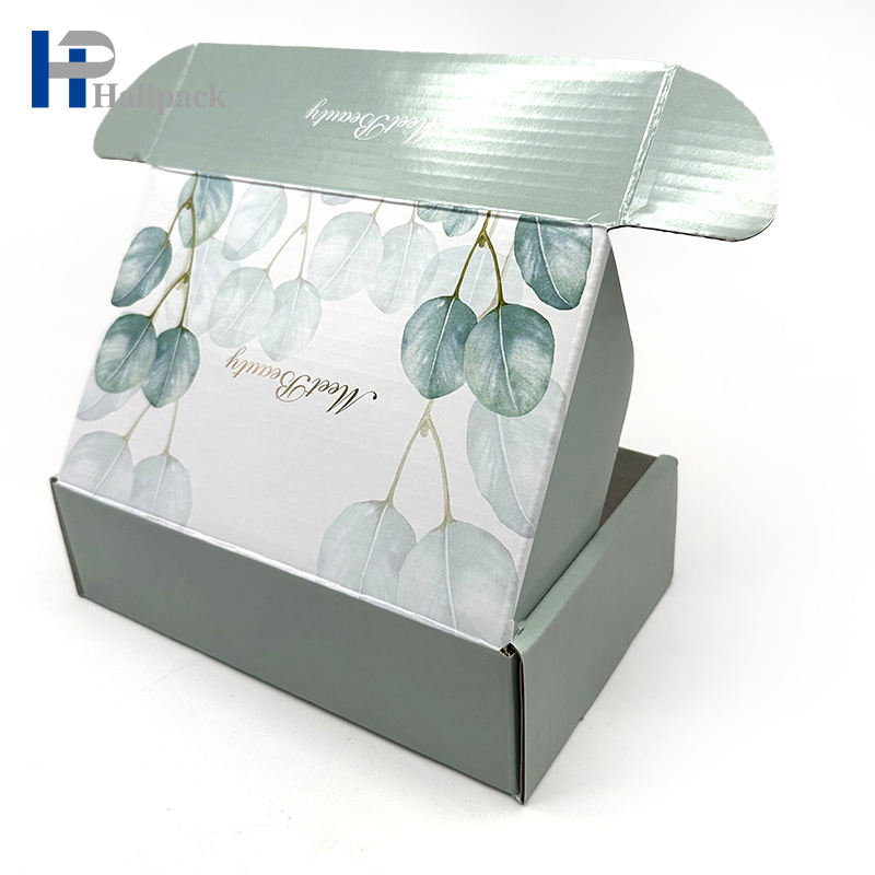 Emballage de boîte de papier ondulé de boîte en carton de expédition faite sur commande écologique pour le cadeau d'anniversaire de vacances