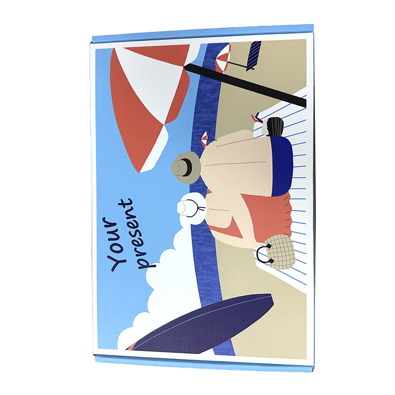 Boîte de papier ondulé de conception libre, boîte d'expédition de cosmétiques, boîte d'avion