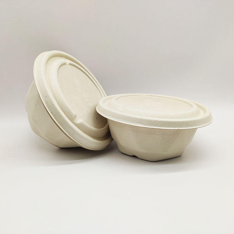 Conteneurs alimentaires jetables sûrs à clapet de canne à sucre d'approvisionnement d'usine