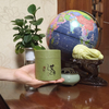 Boîte cylindrique en carton de parfum, pot rond, emballage de bouteille, boîte-cadeau, Tube de conteneur