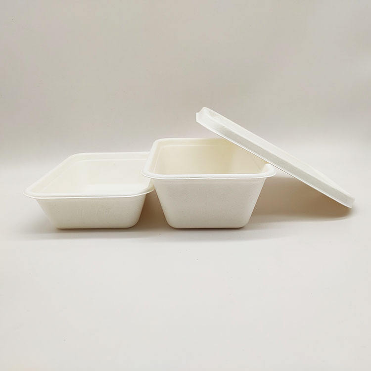 Boîte à déjeuner de vente directe d'usine, conteneurs alimentaires en papier jetables, pulpe de canne à sucre à clapet